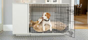 dog relaxing in his large  dog crate
