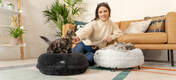 Two cats sitting on earl grey and snowball white donut cat beds with designer feet.