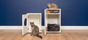 Two Maya Cat Indoor Cat Houses with cat infront and one on top