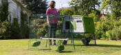 A perch in the run is the perfect addition to a Eglu-Cube chicken coop.