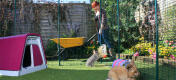 Lady with a wheel barrow outside her Walk in Rabbit Run while her rabbits enjoy being inside it