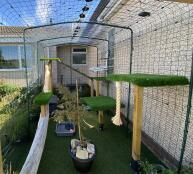 A Catio in a garden, a homemade cat tree inside, made of wood