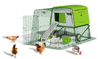 Eglu Cube Chicken Coop support centre