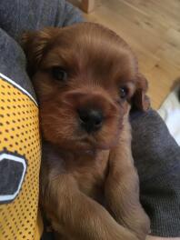 New addition!