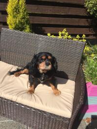 Sunny days x