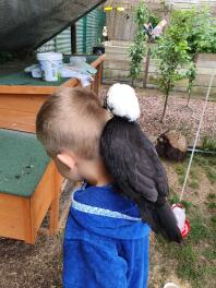 Chicken sitting on back of boy