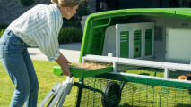 Woman easily slides out chicken coop nest box for cleaning.