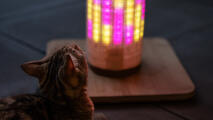 cat looking at a pink and yellow light mode on the Switch cat scratcher