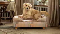 Labrador jumping off raised Bolster Dog Bed in Pawsteps Natural print with wooden square feet.