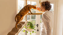 a man interacting with his cat on a high freestyle platform