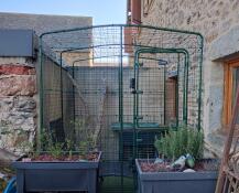 An outdoor walk in cat run inside the owner's garden