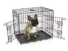 Fido Classic Dog Crate 24"