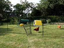 Omlet Chicken Fencing - 12 metres - Inc. Gate and Double Spike Poles and Guy Lines