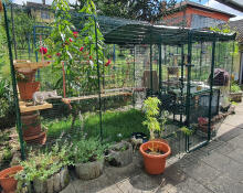 A large catio enclosure set up in a garden.