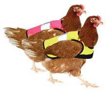 Yellow and Pink High-Vis Chicken Jacket Twin Pack