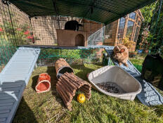 Two rabbits using the Zippi rabbit platforms in their rabbit run.