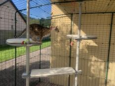 A cat jumping from one platform to another on the freestyle cat tree.