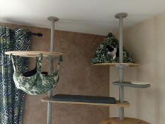 A cat using the indoor freestyle cat tree set up with various accessories.