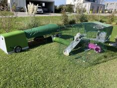 A green chicken coop and run with a green cover connected to an enclosure by a green tunnel