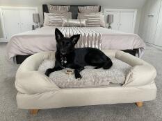 A dog sat on a beige bolster dog bed