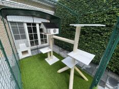 A catio set up in a garden with a climbing frame inside.
