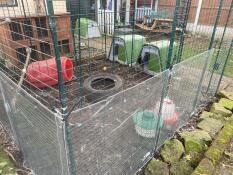 The clear cover attached to the side of a walk in chicken run.