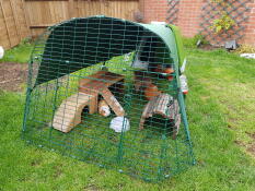 Hutch with 2m run for 3 guinea pigs