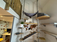 Two freestyle cat trees set up in a living room with various accessories attached.