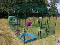 Two chicken coops connected to a large walk-in run