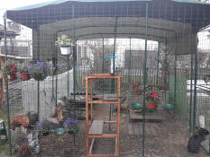 a walk in run in a garden with lots of flowers inside setup for bunny rabbits