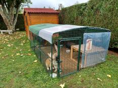 Rabbits inside the Outdoor rabbit run in a garden.