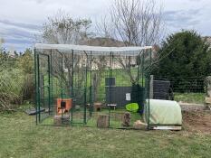 Rabbits inside of a large walk in run set up in a garden.