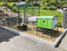 a large green omlet chicken coop with a run attached and chickens inside