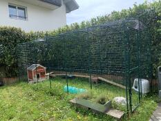 A large rabbit walk in run set up in garden.