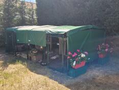 A low walk-in run for rabbits in a garden