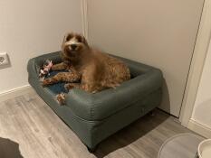 A dog resting in the sage green bolster dog bed.
