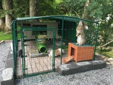Omlet Walk in Rabbit Run