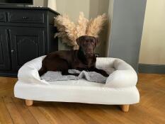 a dog in a white bolster dog bed