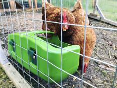 Very sturdy, and the metal hooks fit easily onto our self-built chicken run!