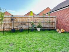 A group of plants inside the Omlet chicken fencing with chickens next to them.
