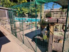 A  Catio attached to a patio in a back garden