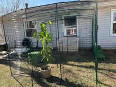 A catio in a sunny garden