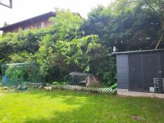 A large walk in rabbit run set up in a garden.
