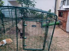A lo-rise rabbit run installed in a back garden.
