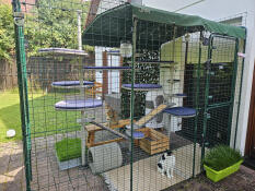 Our enclosure from Omlet for 3