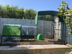 The walk in chicken run set up in a garden, attached to an Eglu Cube.
