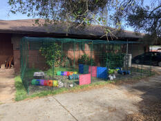 A large walk in rabbit run set up in a garden.