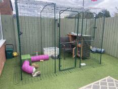 A rabbit walk-in-run with accessories installed inside such as a rabbit shelter and play tunnels