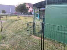 The Omlet chicken fencing surrounding a walk in run.