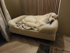 A dog sleeping on the natural beige bolster bed